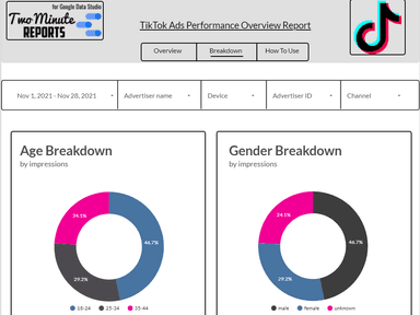 TikTok Ads Overview 