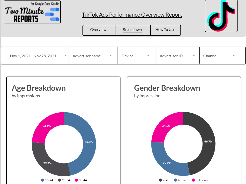 TikTok Ads Overview 