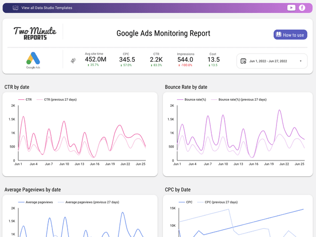 Google Ads Monitoring Report