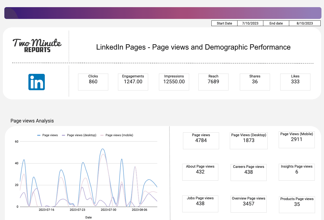 LinkedIn Pages - Page views and Demographic Performance 