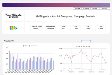 Microsoft/Bing Ads - Campaign and Ad Analysis Report