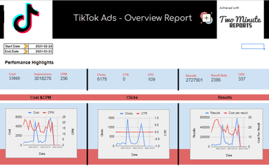 TikTok Ads - Overview Report