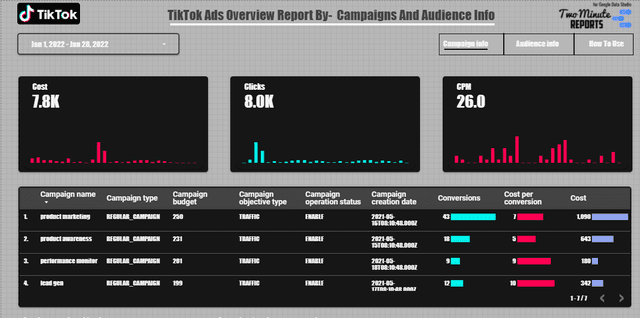TikTok Ads Overview  - Campaign and audience info