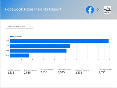 FaceBook Page Insights Report