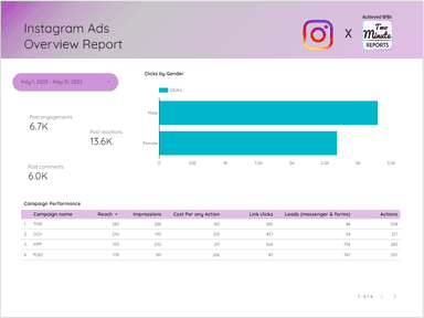 Instagram Ads Overview Report