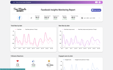 Facebook Insights Monitoring Report