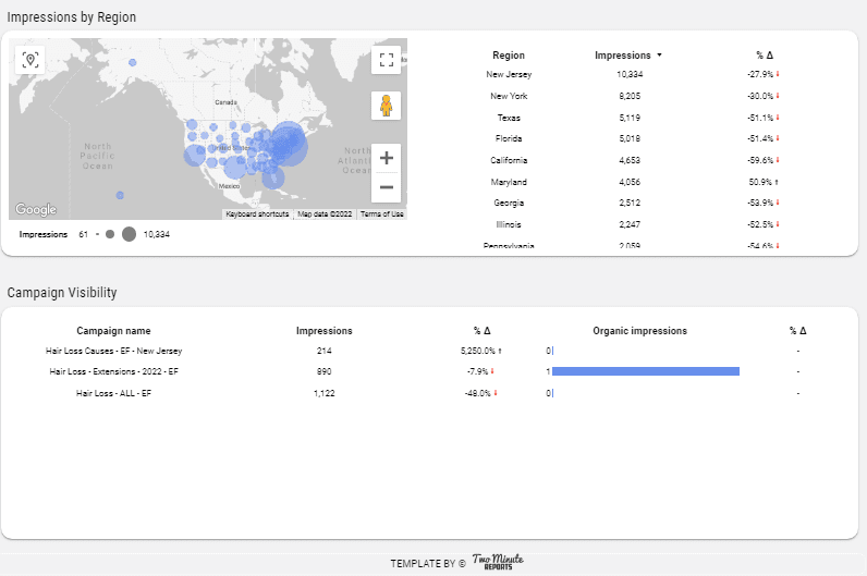 Google Ads Visibility Overview