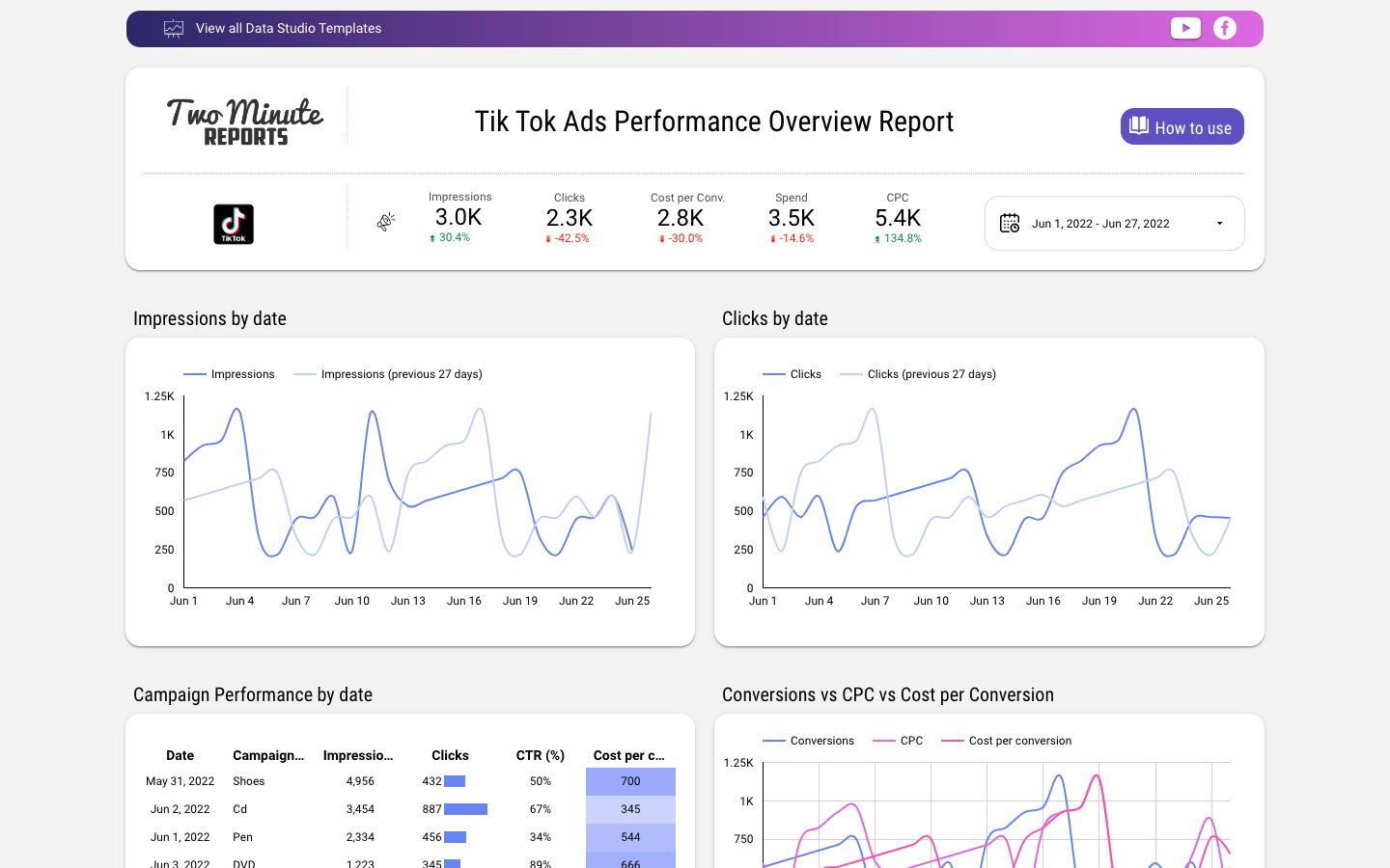 Tik Tok Ads Performance Overview Report