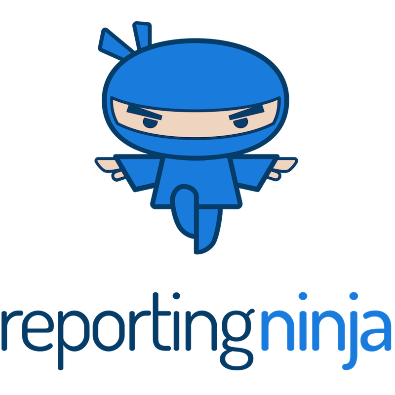 Reporting Ninja logo - supermetrics alternatives